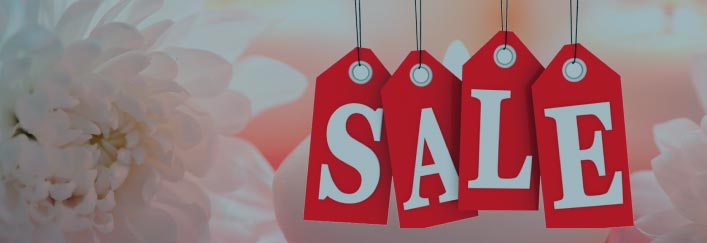 Санрайз спа акции